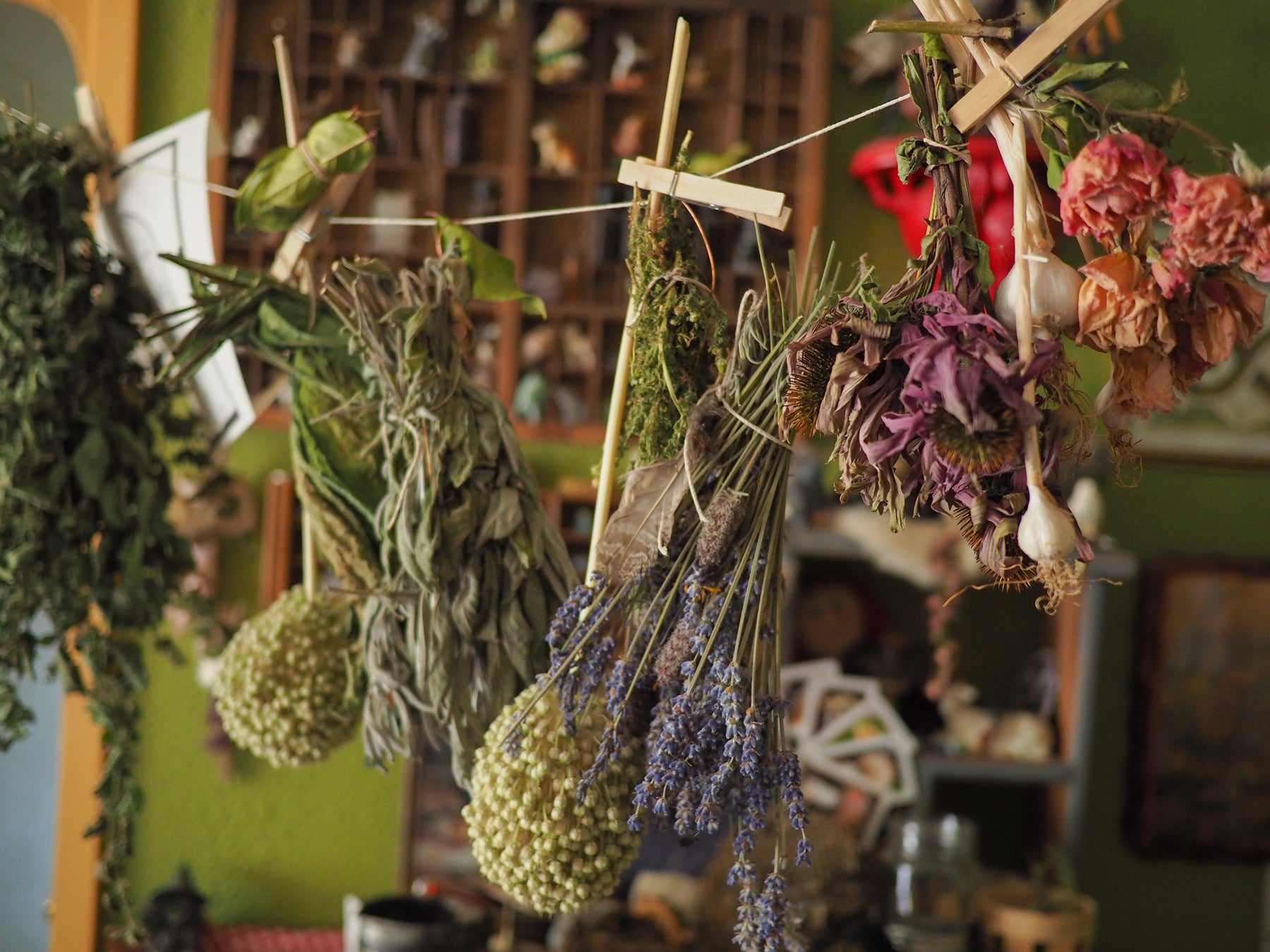Herbal Magicks