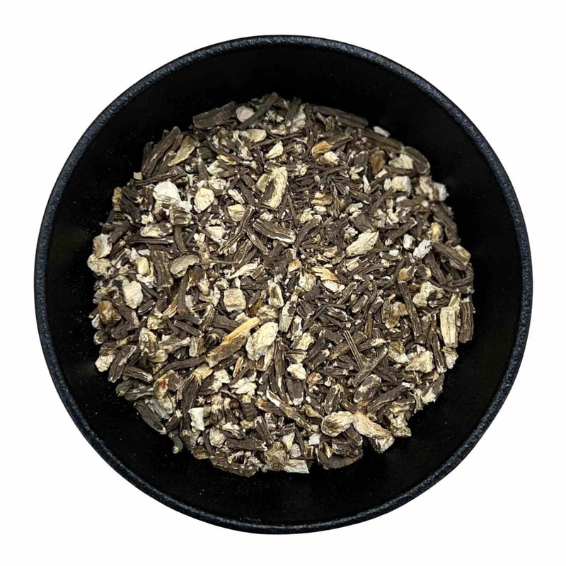 Angelica Root
