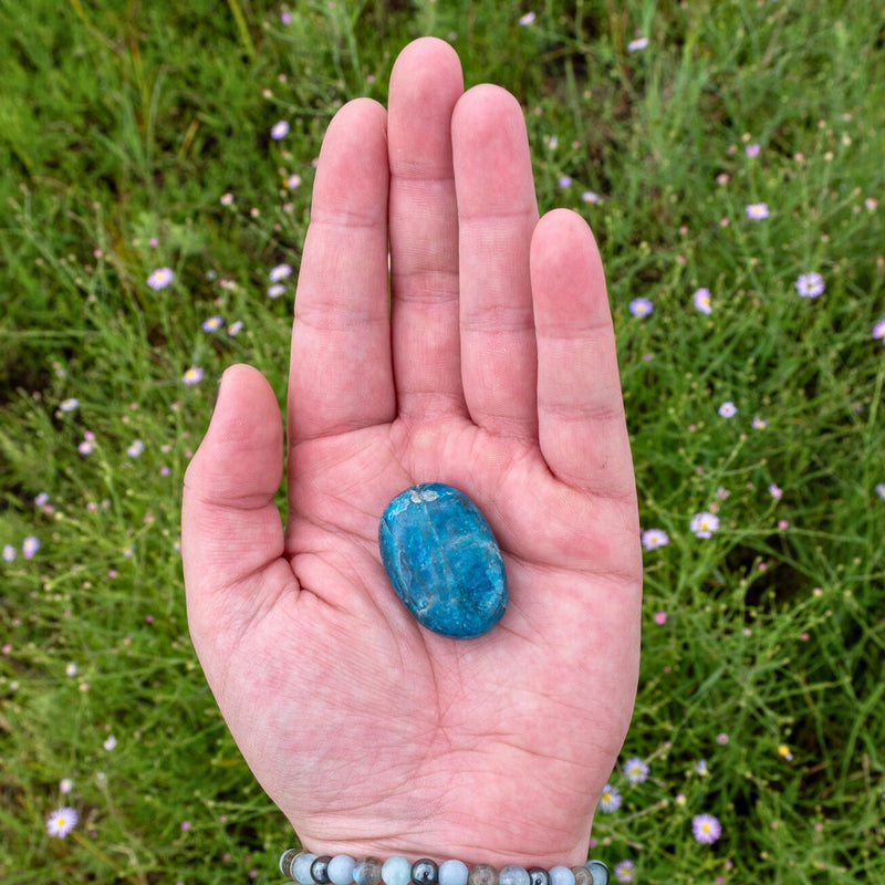 Blue Apatite Palm Stone