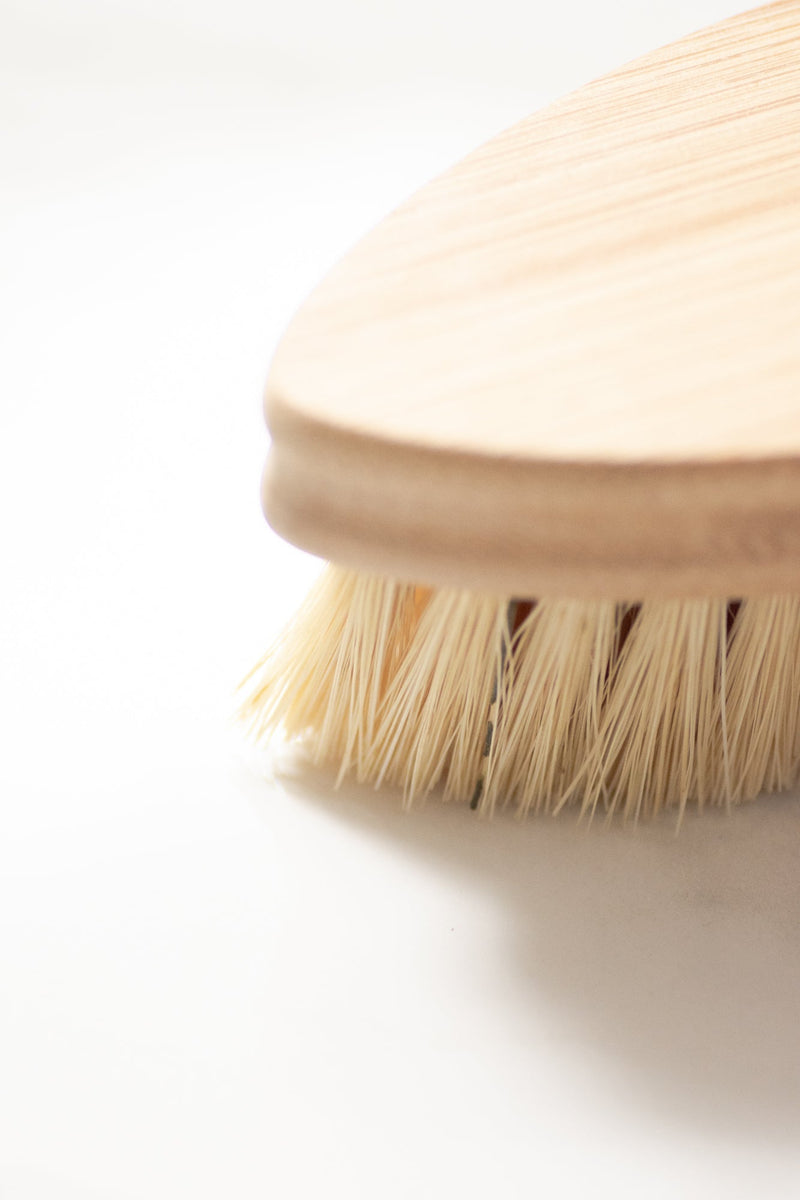 CASA AGAVE® Duo Tone Vegetable Brush | General Cleaning - No Tox Life®
