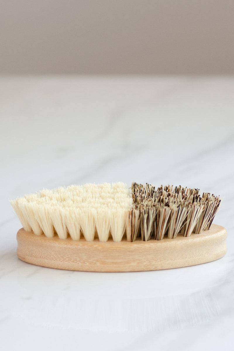 CASA AGAVE® Duo Tone Vegetable Brush | General Cleaning - No Tox Life®