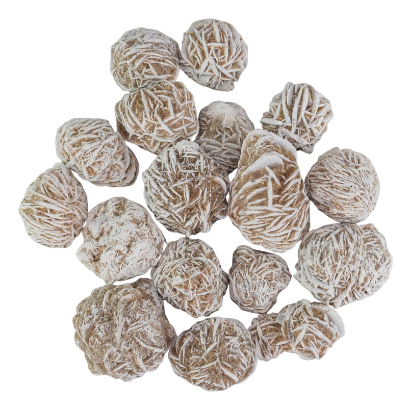 Desert Rose