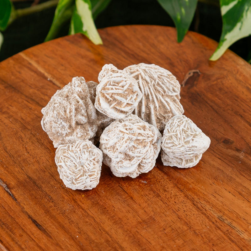 Desert Rose