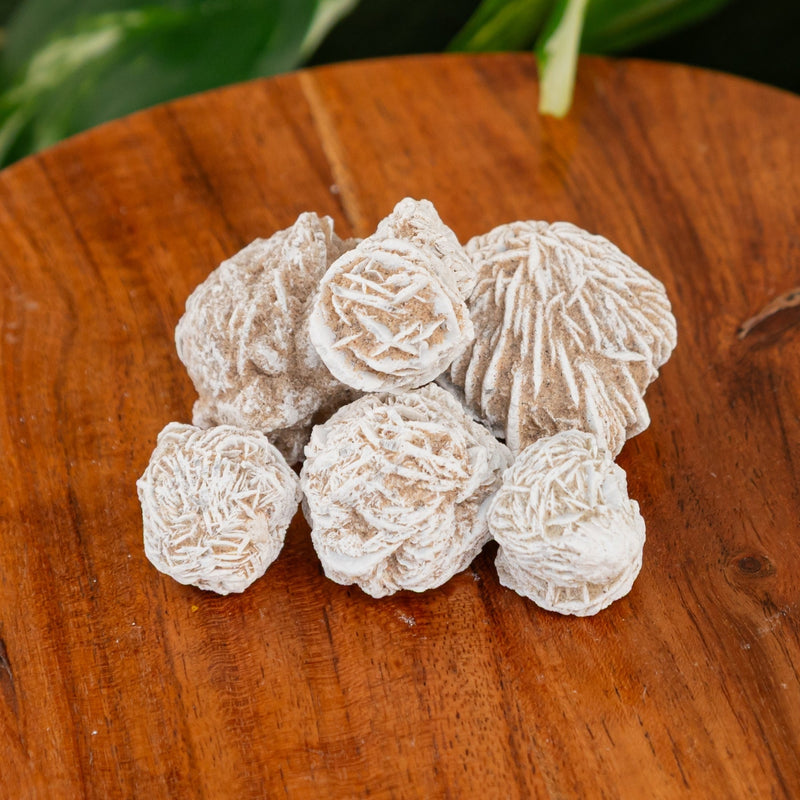 Desert Rose