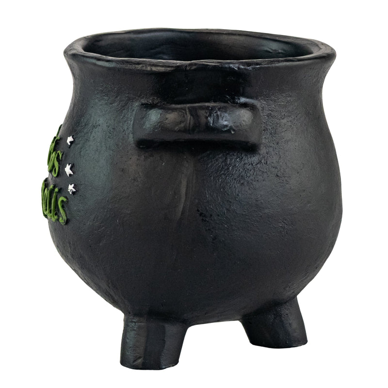 Herbs for Spells Cauldron Planter