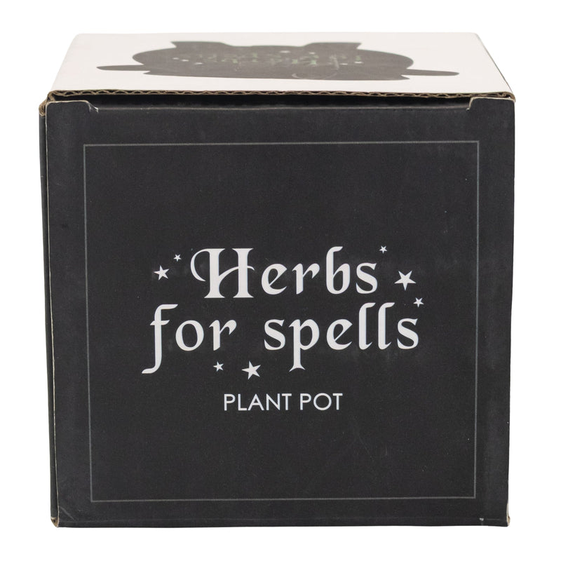 Herbs for Spells Cauldron Planter