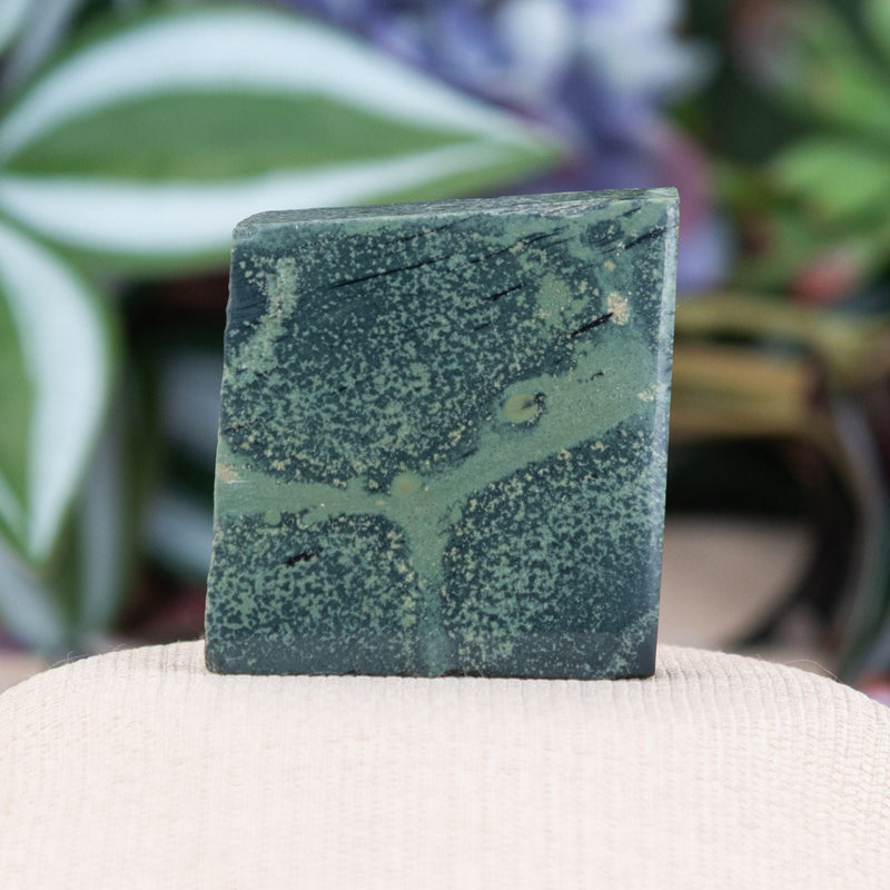 Kambaba Jasper Chunk