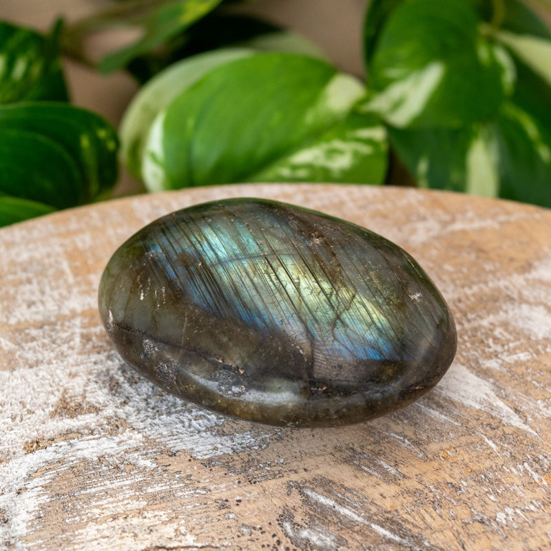 Labradorite Large Palm Stone