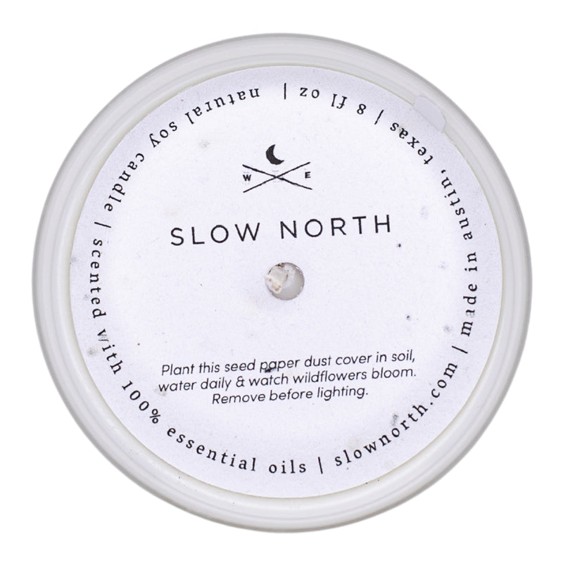Forest Bathing - Signature Candle (Fir + Pine + Patchouli)