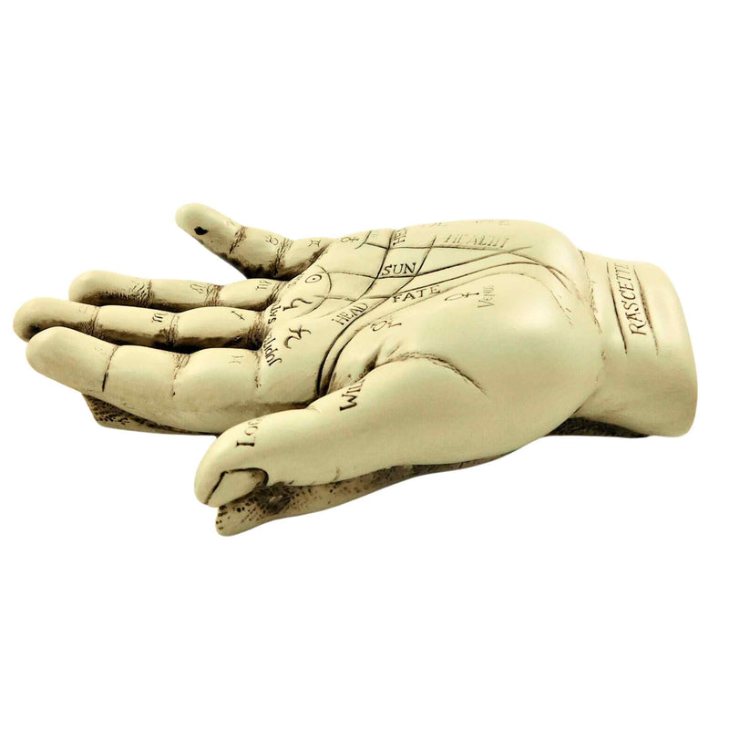Palmistry Hand Kit