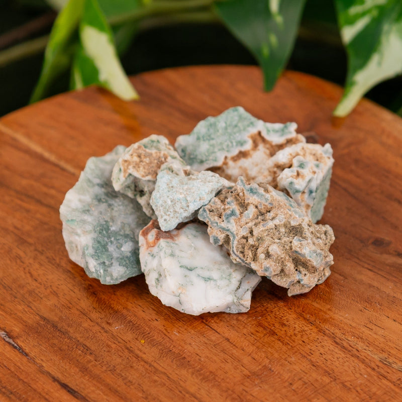 Tree Agate Raw