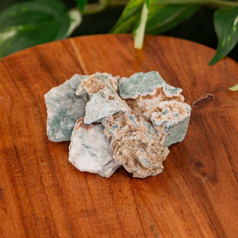 Tree Agate Raw