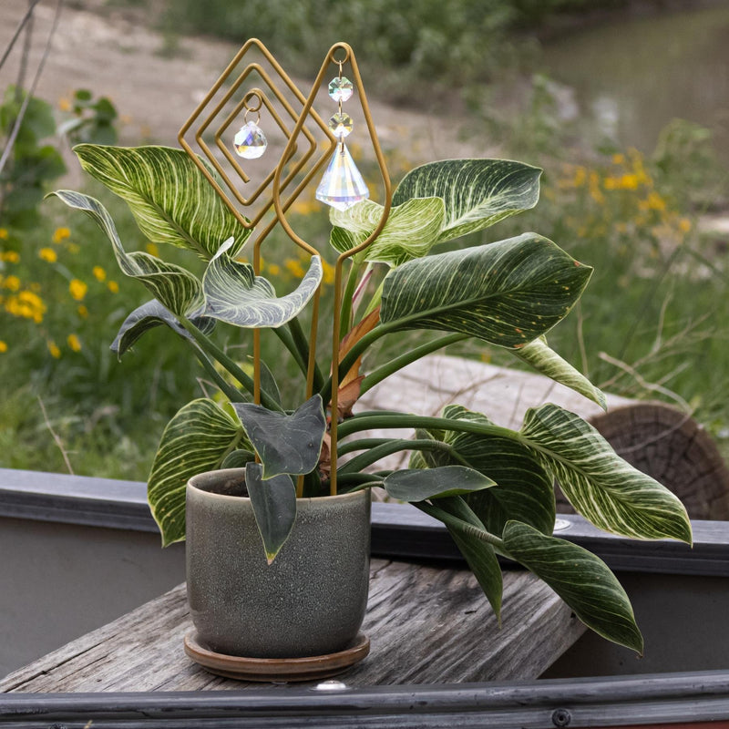 Gold Plant Trellis with Crystal - Variety