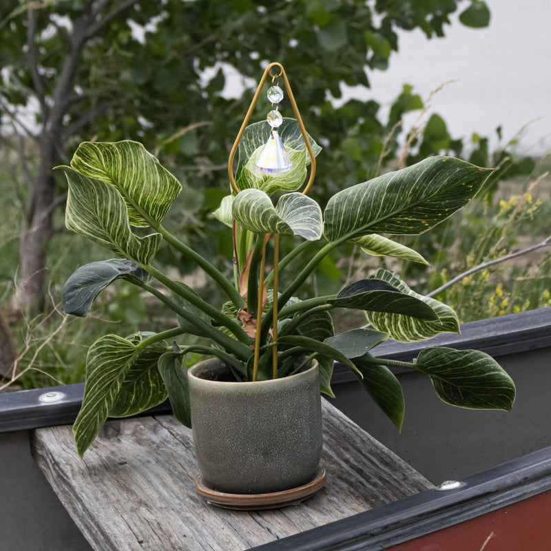 Gold Plant Trellis with Crystal - Variety
