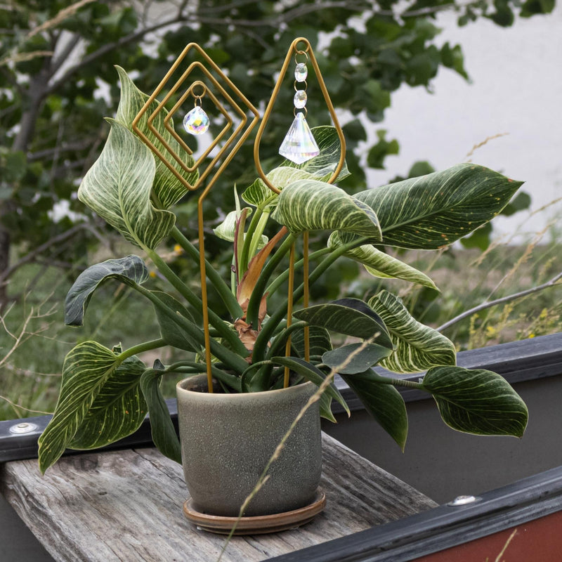 Gold Plant Trellis with Crystal - Variety