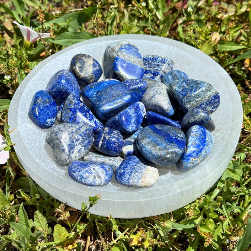 Lapis Lazuli Tumbled