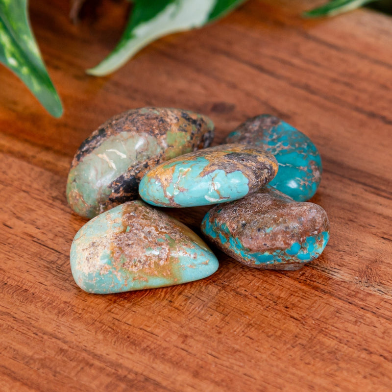 Turquoise Tumbled