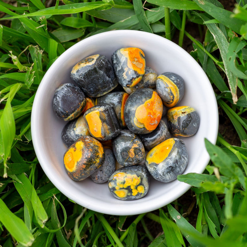 Bumblebee Jasper Tumbled