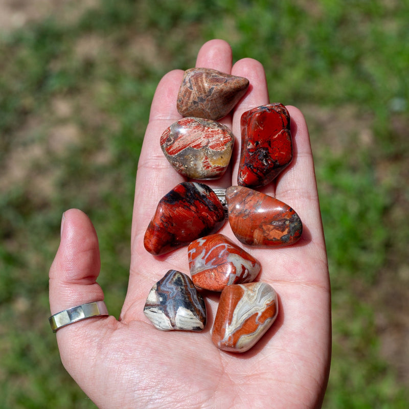 Red Brecciated Jasper Tumbled